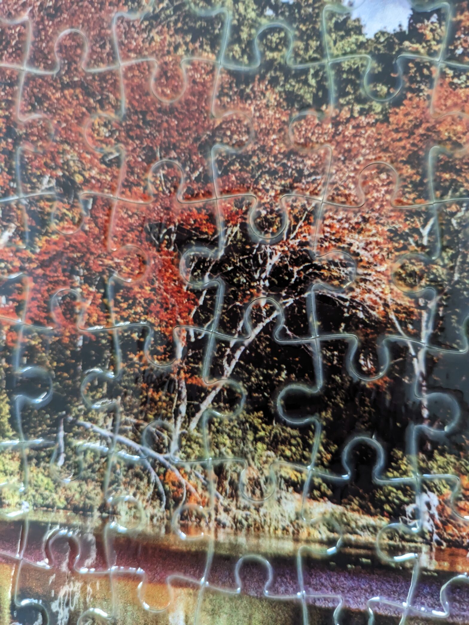 Close-up of a jigsaw puzzle piece with a nature scene featuring trees and autumn colors.