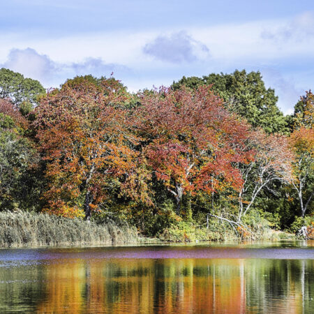 Vibrant autumn trees reflecting in a calm lake under a clear sky.