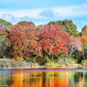 Fantasy Fall Puzzle